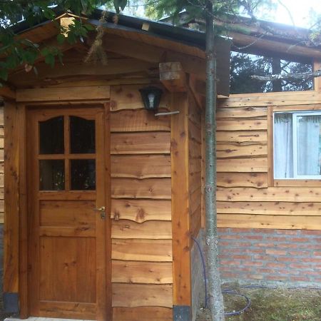 Cabanas Auquin Lemu Lago Puelo Exteriör bild